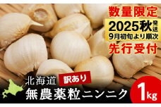 【数量限定】訳あり無農薬粒ニンニク1kg（500g×2袋）バラ 粒 無農薬 にんにくガーリック