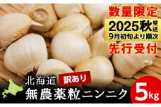【数量限定】訳あり無農薬粒ニンニク5kg（500g×10袋）バラ 粒 無農薬 にんにくガーリック