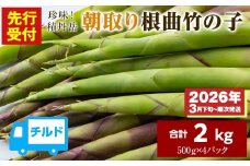 【先行予約開始！】2026年発送★積丹産珍味積丹岳根曲竹の子2kg（500g×4パック）