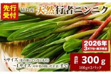 【先行予約開始！】2026年発送★積丹産天然行者ニンニク300g（100g×3パック）