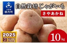 自然栽培じゃがいも★道産子「さやあかね」10kg