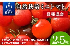 北海道の恵み★”自然栽培ミニトマト”何が届くかお楽しみ‼　2.5kg