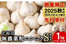 【数量限定】無農薬ニンニク“Sサイズ”1kg（500g×2袋）バラ 粒 無農薬 にんにくガーリック