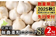 【数量限定】無農薬ニンニク“Sサイズ”2kg（500g×4袋）バラ 粒 無農薬 にんにくガーリック