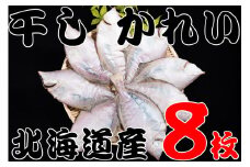 【08002】北海道産 宗八がれい(中) 一夜干し8枚