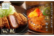 【111022】日本の米育ち平田牧場三元豚ブロック・挽肉詰合せ（２種）