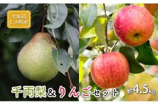 [先行受付] 北海道 仁木町産 千両梨＆りんごセット 約4.5kg 果物類 果物 くだもの フルーツ 林檎 リンゴ ナシ 詰合せ 先行予約 [くだもの直売　もり園]
