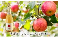 kanonzすぱあくりんご「 シードル 」720ml×1本 お酒 シャンパン スパークリングワイン 発泡酒 アルコール ワイン りんご リンゴ ご褒美 お祝 記念日 [株式会社八剣山さっぽろ地ワイン研究所]
