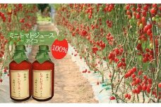 超完熟ミニトマト（アイコ）100％ジュース 500ml×2本 果汁飲料 野菜飲料 トマトジュース 野菜ジューストマト とまと ミニトマト [アイコファーム]