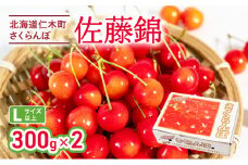さくらんぼ 佐藤錦 300g×2P 計600g Lサイズ　サクランボ チェリー フルーツ 果物 果物類 ギフト 北海道 仁木町 仁木 [カムナビファーム]