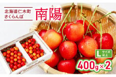 さくらんぼ 南陽 400g×2P 計800g Lサイズ　サクランボ チェリー フルーツ 果物 果物類 ギフト 北海道 仁木町 仁木 [カムナビファーム]