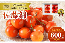 さくらんぼ 農園厳選 佐藤錦 さくらんぼ Lサイズ以上 600g（300g×2パック）品質：ギフト向け サクランボ チェリー フルーツ 果物 果物類 贈答品 ギフト 北海道 仁木町 仁木 [小林信幸]