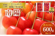 [先行受付] さくらんぼ 南陽 2Lサイズ 以上600g（300g×2パック）化粧箱入 サクランボ チェリー フルーツ 果物 果物類 ギフト 贈答品 北海道 仁木町 仁木 [小林信幸]