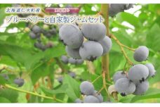 [先行受付] 農園摘みブルーベリー 1kg（100g×10パック）と自家製ジャム 350g セット 北海道 仁木町産 果物 果物類 フルーツ ジャム セット 北海道 仁木町 仁木 [小林信幸]