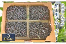[先行受付] 農園の加工用 ブルーベリー 約2kg サイズ混載 北海道 仁木町産 果物 果物類 フルーツ 仁木 [小林信幸]