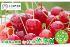 [先行受付] 北海道 仁木町産 さくらんぼ 「佐藤錦」 バラ詰め M-L混合 800g (400g×2パック) 　国産 旬のフルーツ 旬の果物 デザートサクランボ チェリー フルーツ 果物 果物類 仁木町 仁木 [フルーツショップ妹尾観光農園]