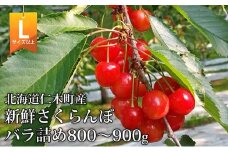 北海道 仁木町産 さくらんぼ (Lサイズ以上）800g～900g 佐藤錦 又は 紅秀峰　サクランボ チェリー フルーツ 果物 果物類 ギフト仁木町 仁木 [くだものの笠井園]