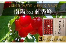 北海道 仁木町産 さくらんぼ 贈答用（2Lサイズ以上）40粒前後 桐箱入り 南陽 又は 紅秀峰　サクランボ チェリー フルーツ 果物 果物類 ギフト 贈答品 仁木町 仁木 [くだものの笠井園]