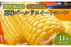 [先行受付] 北海道 仁木町産 とうもろこし 恵味ゴールド スイートコーン 11本 セット 野菜 コーン 甘い [峠のふもと紅果園]