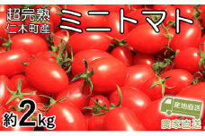 [先行受付] 超完熟ミニトマト【アイコ】2kg（1kg×2箱）サイズ混載  トマト ミニトマト アイコ 野菜 北海道 仁木町[アイコファーム] 