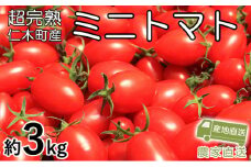 [先行受付] 超完熟ミニトマト【アイコ】3kg サイズ混載  トマト ミニトマト アイコ 野菜 北海道 仁木町[アイコファーム] 