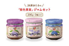 JA新おたるの『紫色果実』のジャムセット(200g×3個入り) ブルーベリー プルーン ハスカップ 果物 フルーツ[JA新おたる] 