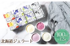 北海道ジェラート 100ml×12個セット お菓子 アイス ジェラート ミルク ぶどう りんご プルーン[株式会社　長沼あいす]