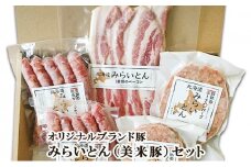 [先行受付] みらいとん（美米豚）セット：ビィクトリーポークのオリジナルブランド豚 肉の加工品 お肉 ハンバーグ ベーコン ウインナー[ファーマーズガーデン]