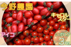 [先行受付] 北海道 仁木町産 ミニトマト 3kg サイズ混合 アイコ または キャロルスター野菜 トマト [今野農園]
