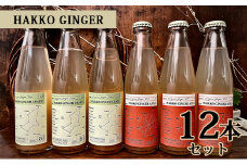 仁木産アップルとグレープを使ったジンジャービア HAKKO GINGER 200ml×12本セット 炭酸飲料 飲料類 果汁飲料 りんご ジュース 野菜飲料 ぶどうジュース ブドウ [株式会社デリシャスフロム北海道]