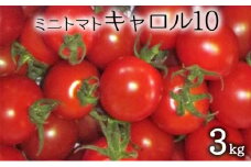 [先行受付] 北海道 仁木町産 ミニトマト 3kg （品種： キャロル10） 野菜 野菜類 とまと トマト[松山商店]