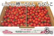 [先行受付] 北海道 仁木町産 樽っこくん ちびっこ 3kg（1.5kg×2箱） ミニトマト トマト 野菜 とまと[松山商店]