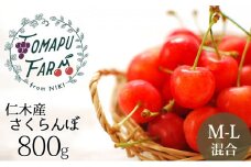 北海道 仁木町産 農業ママのさくらんぼ 800g（200g×4） 佐藤錦 または 南陽  サクランボ チェリー フルーツ 果物 果物類 仁木町 仁木 [トマップファーム]
