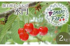 北海道 仁木町産 農業ママの加工用さくらんぼ 水門 2kg (1kg×2)   サクランボ チェリー フルーツ 果物 果物類 仁木町 仁木  [トマップファーム]