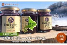 北海道仁木町産 ブルーベリージャム 120g×3本 [iori farm] 栽培期間中 除草剤不使用 果物 詰合せ セット フルーツ 