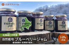 北海道仁木町産 ブルーベリージャム 120g×6本 [iori farm] 栽培期間中 除草剤不使用 果物 詰合せ セット フルーツ 
