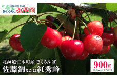北海道 仁木町産 さくらんぼ【 佐藤錦 】又は【 紅秀峰 】バラ詰め 900g Lサイズ以上　 食後 デザート 旬の果物 サクランボ チェリー フルーツ 果物 果物類 仁木町 仁木 [峠のふもと紅果園]