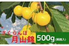 北海道 仁木町産 さくらんぼ【 月山錦 】一段並べ 桐箱入り 500g 2Lサイズ以上　食後 デザート 旬の果物 サクランボ チェリー フルーツ 果物 果物類 ギフト 贈答品 仁木町 仁木 [峠のふもと紅果園]