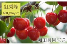 北海道 仁木町産 さくらんぼ 紅秀峰 600g（300g×2パック）  サクランボ チェリー フルーツ 果物 果物類 ギフト 仁木町 仁木 [和田農園]