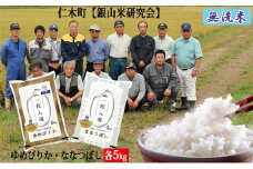 【先行受付 2025年産米】銀山米研究会の無洗米＜ゆめぴりか＆ななつぼし＞セット（計10kg）　ご飯 ライス 白米 ブランド米 おにぎり お弁当 北海道産 産地直送 時短 朝ごはん 夜ごはん 昼ごはん [株式会社 松原米穀]