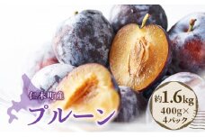 [先行受付] 北海道 仁木町産 季節のプルーン 1.6kg（400g×4パック）プルーン 果物 果物類 くだもの フルーツ [JA新おたる]