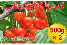 北海道 仁木町産 生産者厳選品 7月旬 さくらんぼ 1kg（500g×2） サクランボ チェリー フルーツ 果物 果物類 ギフト 仁木町 仁木 [JA新おたる]