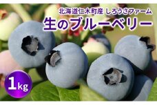 [先行受付] 北海道 仁木町産 有機栽培ブルーベリー1kg サイズ混合 果物 くだもの フルーツ ブルーベリー[しろうさファーム]