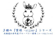 3種のブルーベリーシリーズ『紫珠 -sijyu-』（北海道仁木町産） 果物 ブルーベリー フルーツ ジャム ソース 加工食品 瓶詰 くだもの [しろうさファーム]