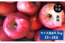 [先行受付/2025年] 仁木町の採れたてりんご「昴林（こうりん）」4.5kg（15～18玉入り）北海道 仁木 果物 フルーツ リンゴ 果物類 林檎 [フルーツショップ妹尾観光農園] 