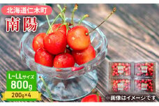 さくらんぼ【 南陽 】800g（200g×4）L-LLサイズ混合  サクランボ チェリー フルーツ 果物 果物類 ギフト 北海道 仁木町 仁木 [大塚農園]