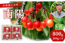さくらんぼ【 南陽 】800g（200g×4）L-LLサイズ混合  サクランボ チェリー フルーツ 果物 果物類 ギフト 北海道 仁木町 仁木 [横山農園]