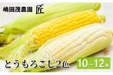 [先行受付] 北海道 仁木町産 新鮮 とうもろこし 2色セット【10～12本】 野菜 トウモロコシ コーン [株式会社 嶋田茂農園匠]