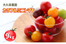 大久保農園の☆新鮮☆カラフルミニトマト 4種 詰合せ9kg（3kg×3箱（サイズ混合）） 野菜 やさい トマト ミニトマト 北海道産 仁木町[大久保農園]