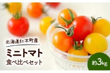 北海道 仁木町産 ミニトマト 食べ比べ セット 約3kg（サイズ・色混合）とまと トマト 野菜 やさい 北海道産 仁木町 [藤田農園]
